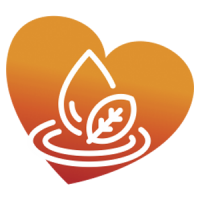 ЗДОРОВЫЙ ОБРАЗ ЖИЗНИ. WELLNESS