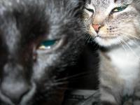 Андрей Бармашов